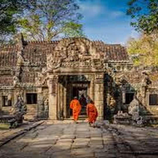 Flights to Sydney from Auckland: When to Book, What to Pay & How to Save - The Book Traveller